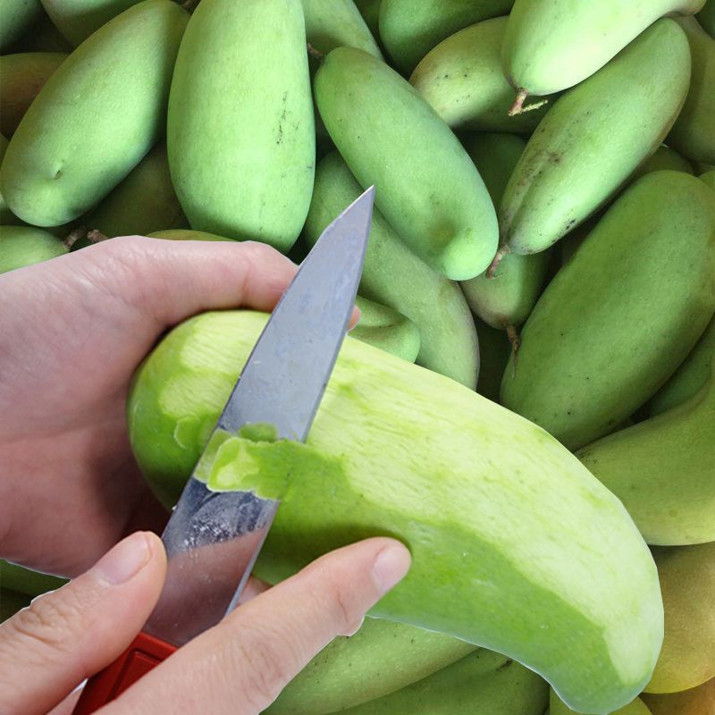 新鲜芒果生吃云南酸脆小青芒