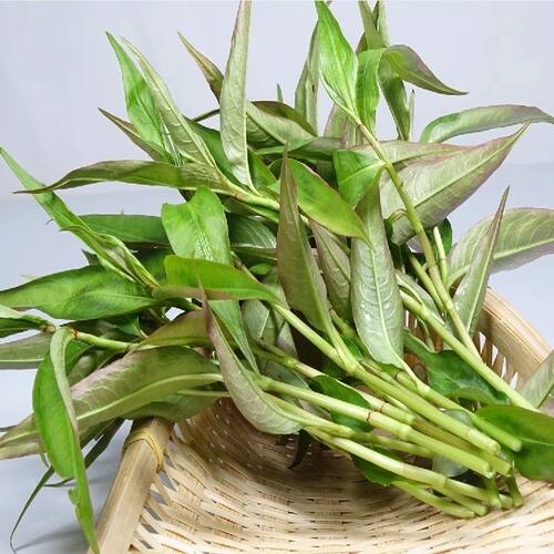 云南德宏新鲜香料山茅野菜香柳拉莎香辣柳傣味泰国凉拌撒撇作料