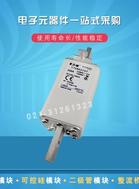巴斯曼快速熔断器170M3191 3192 3193 3194 3195 3196 3197 3198