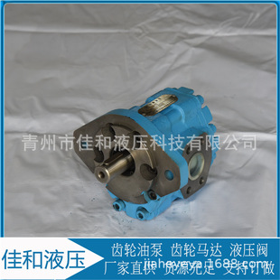 多种规格 加工定制 171L 长江齿轮泵 来图定制 CBY2050