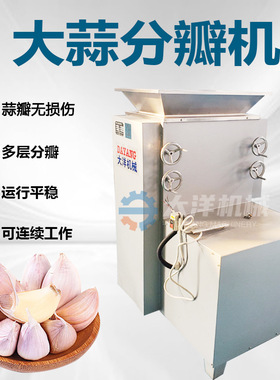 大洋机械大蒜分瓣机不锈钢材质厂家直销500/1200kg/h蒜头破瓣机器