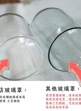 天然海螺贝本壳漂流海洋创瓶意摆件海星20151许瓶木塞愿蜗牛壳标