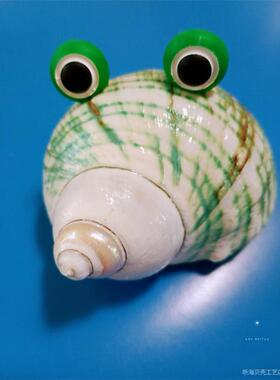 天居然海螺壳 手工寄蟹51182 替换壳家贝居摆件