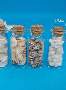 天然小海螺贝壳米螺儿童手工画d贝iy漂瓶海05671洋瓶 儿幼流园壳