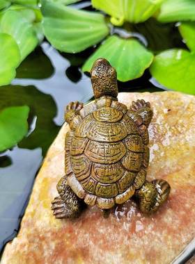 仿46612小乌龟摆件花园微景观山水池鱼池小水族真鱼缸造景装饰品