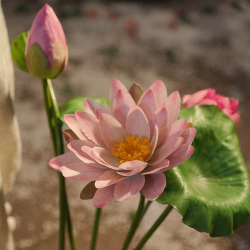 苞荷花 花仿真荷叶 半开荷花 3D打81621印工艺 真花客仿厅花仿真