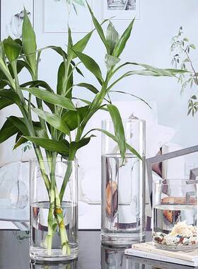 亚克摔花摆件客厅插花家用透明水力养防百合富贵竹瓶高级感87620