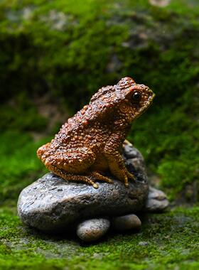 微仿真招财蟾摆件花园盆景假山造景景观饰蟾蜍金桌面工装艺26302