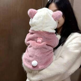 狗狗衣服秋冬装泰迪比熊小型犬猫咪服装加绒可爱防掉毛可牵引绒衣