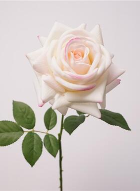 高品质仿真23261卷花手感仿保湿单枝土耳客其玫瑰真大边厅插花婚