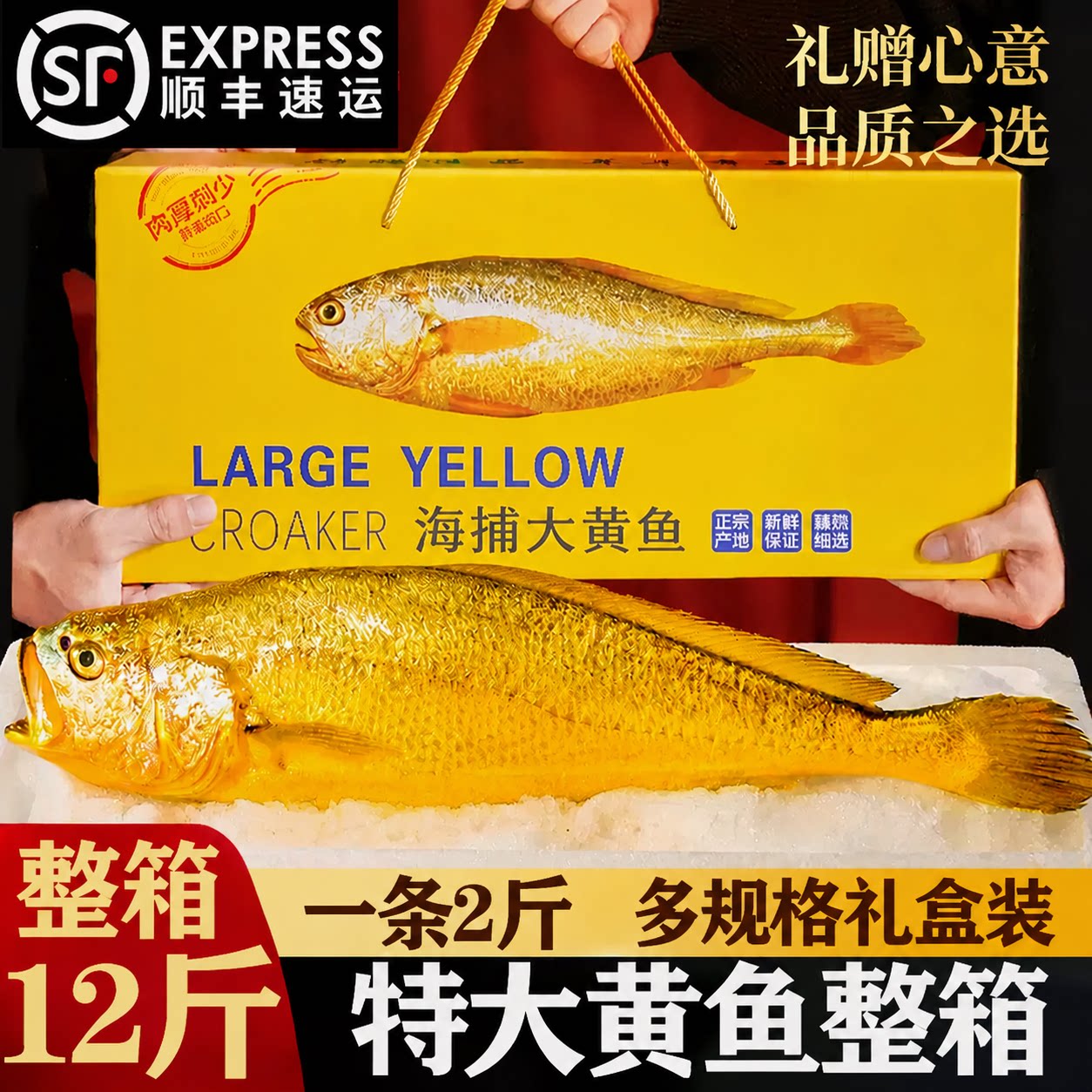 特大号黄花鱼整箱礼盒装顺丰包邮图片