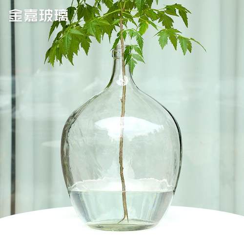 透明玻璃简约大肚子花瓶水培花瓶摆件吊钟马醉木插花落地花瓶
