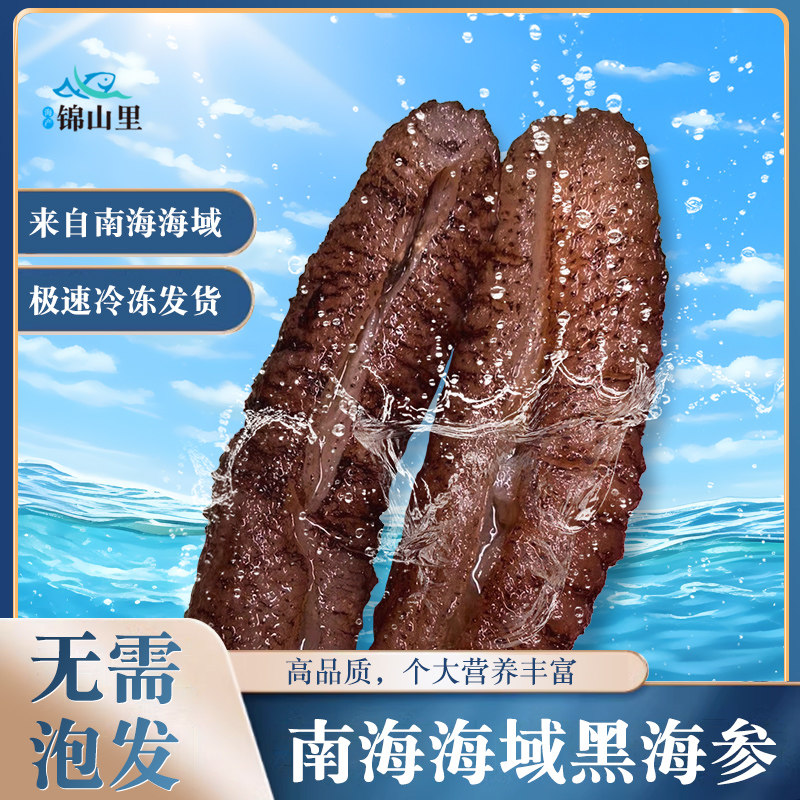 海南特产黑海参赤虫参海茄子黑乌参真空冰鲜非即食海鲜送礼礼盒
