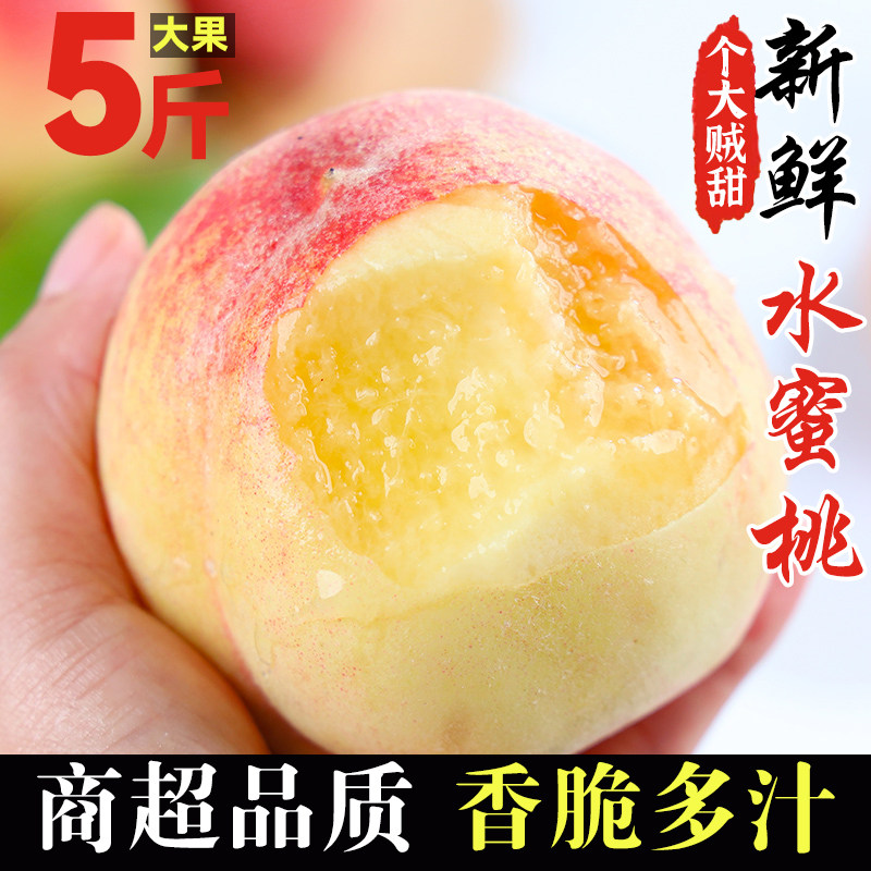 正宗现摘新鲜水蜜桃桃子当季孕妇桃