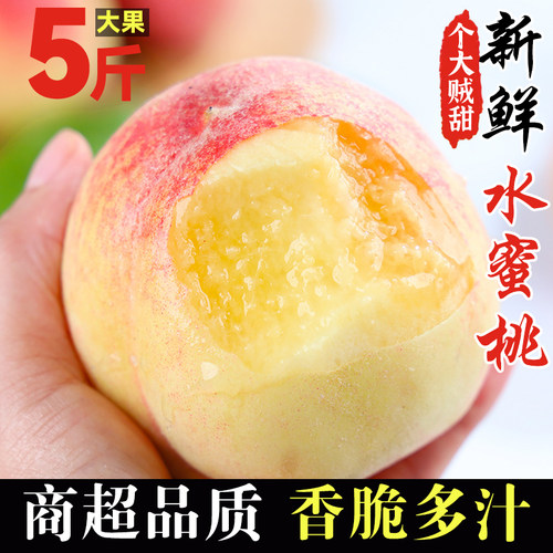 正宗现摘新鲜水蜜桃桃子当季孕妇水果整箱脆桃时令水果包邮桃现发