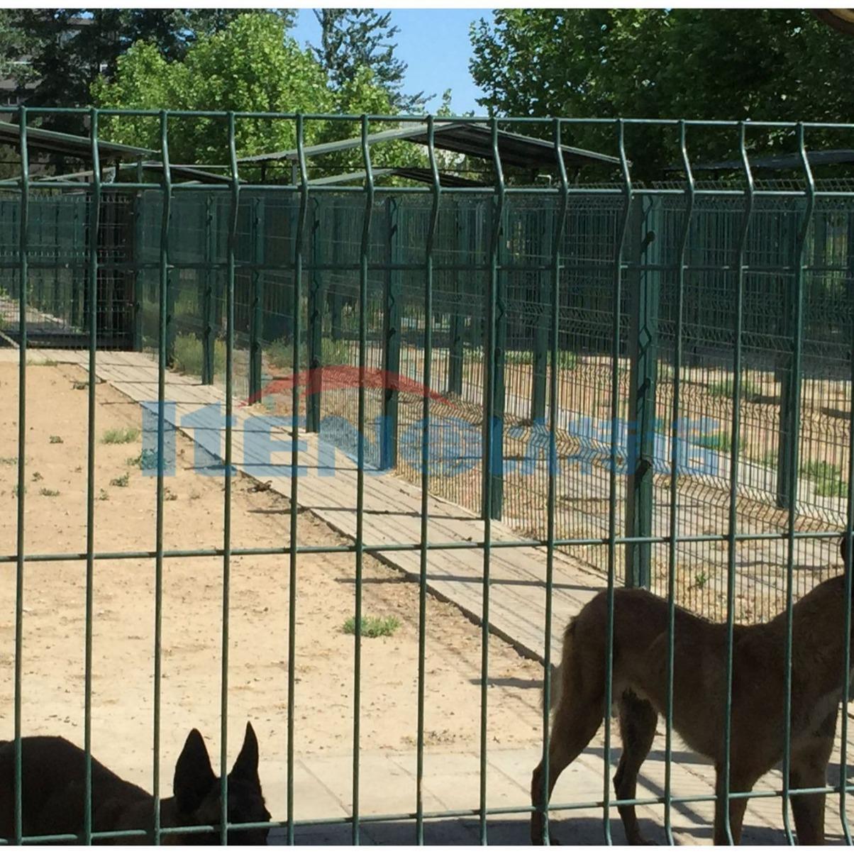 警犬训练设备实用训犬转盘线警犬跑步机专用设备厂家直销推荐