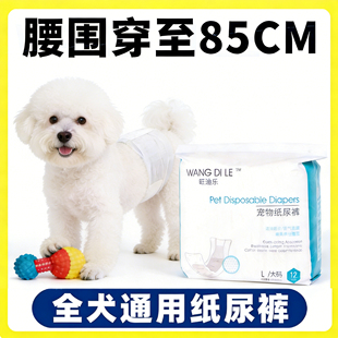 比熊狗狗尿不湿公狗专用纸尿裤 尿片小狗大姨妈母狗尿布男狗 生理裤