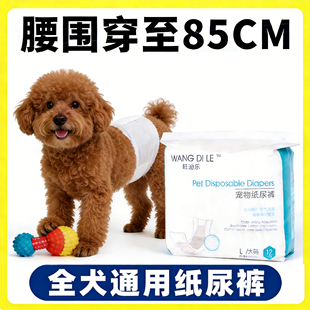 泰迪狗狗尿不湿公狗专用纸尿裤 小型犬小狗月经防止乱尿神器 生理裤