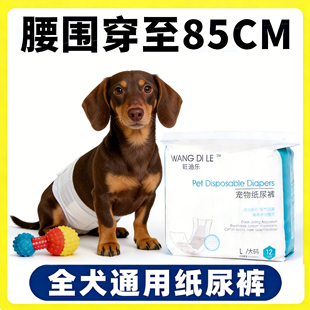 腊肠犬狗狗尿不湿公狗专用纸尿裤 宠物月经小型犬小狗幼犬 生理裤