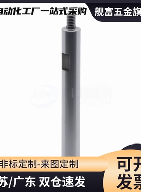 SPJW SSPJW PSPJW RSPJW SPWR SR PSPWR12-158-M8-N8-SC70 导向轴