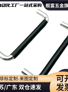 XAJ21-D10-L80/L100/L110/L120/L125/L160-H37/H60不锈钢304拉手