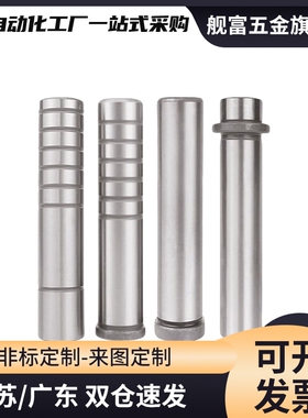 卸料板导柱直杆型SGPN SGON8 10 13 16 20 25-40 50 60 70 80 90