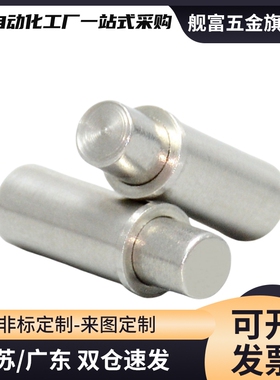 MPFL MPFH1.5/2/3/4/5-1.5/3/6/9/4/8/12不锈钢小径弹簧柱塞平头