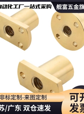 NSAR/NSBR-8 10 12 16 20 25 32 36 40梯形丝杆螺母切边方形螺帽