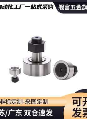 国产BPB01 02 05 BPB11 12 -d3-d4-d5-d6 微型凸轮随动器滚轮轴承