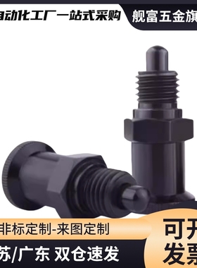 分度销 嵌入式精密型 复位型 ZAY01 02 11 12-M10-M12-M16-M2