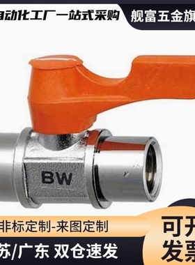 专业替换 BBPC83 BBPC102 BBPC103 -B W Y BL小型球阀