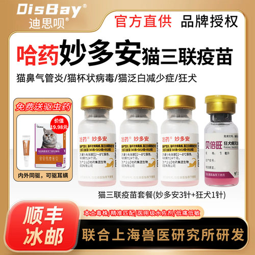 猫疫苗国产猫三联成幼猫鼻支