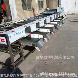 土豆分级机 商用皮带式 大型山楂分选机 工业冬枣脆枣选枣筛选机