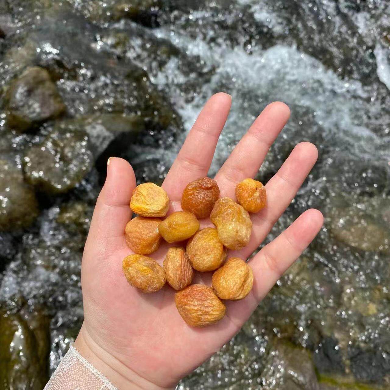 新疆正宗轮台小白杏吊干杏一杏两吃杏疆直发全国包邮