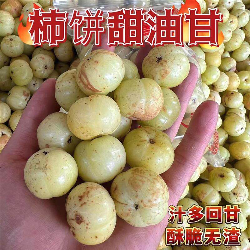 新日期潮汕油柑王柿饼甜油