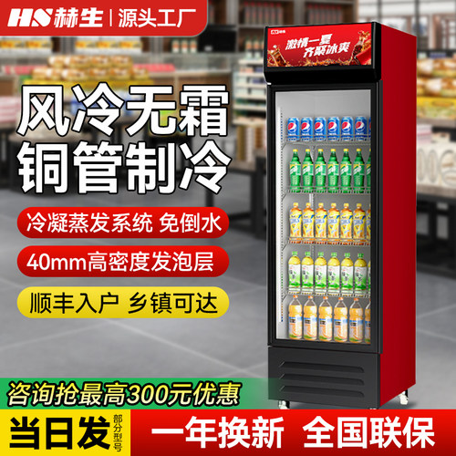 冰霜冷藏展示柜单门饮料柜双 开 门冰柜冰箱超市啤酒保 鲜柜饰品