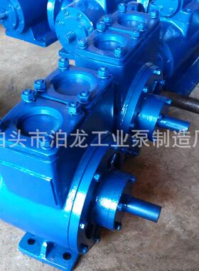 50YPB-8 50YPB-12 60YPB-16 60YPB-24 65YPB-35 80YPB-60叶片泵