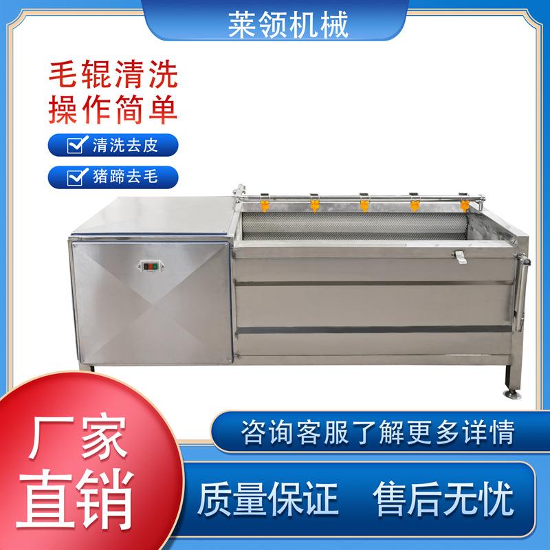 槟榔毛刷式清洗机 地蛋毛辊清洗去皮设备 商用生姜清洗去皮去泥机