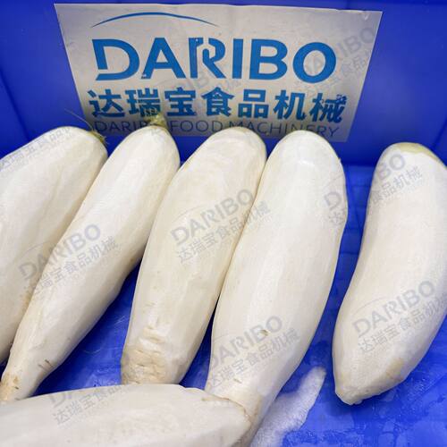 W达瑞宝白萝卜削皮机 半自动萝卜削皮机车间加工不锈钢萝卜削皮机