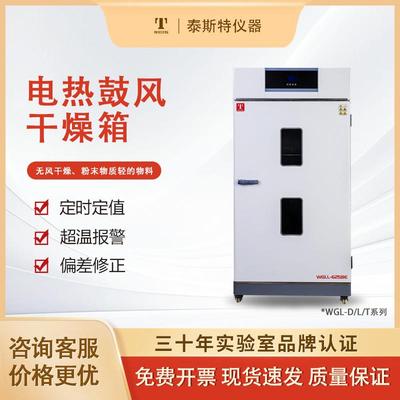泰斯特直营电热恒温干燥箱恒温箱无风实验烘箱高温烤箱工业箱WHL
