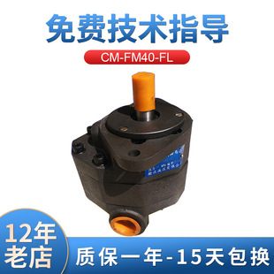 榆次CM-FM系列 14Mpa齿轮式液压马达 CM-FM40-FL齿轮马达