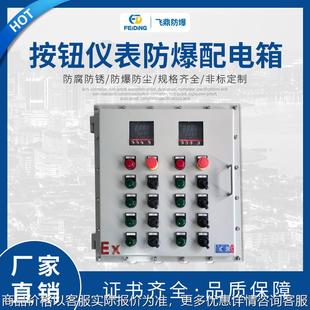 热销 电源按钮控制箱 防爆仪表控制箱 按钮仪表防爆配电箱