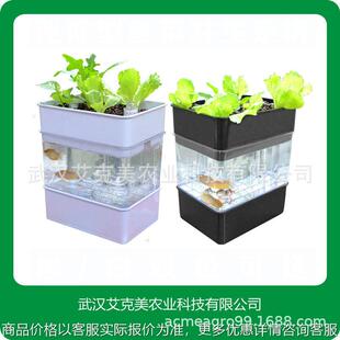 农业家庭养鱼种菜柜鱼缸水培种植箱鱼菜共生蔬菜种植机无土栽培箱