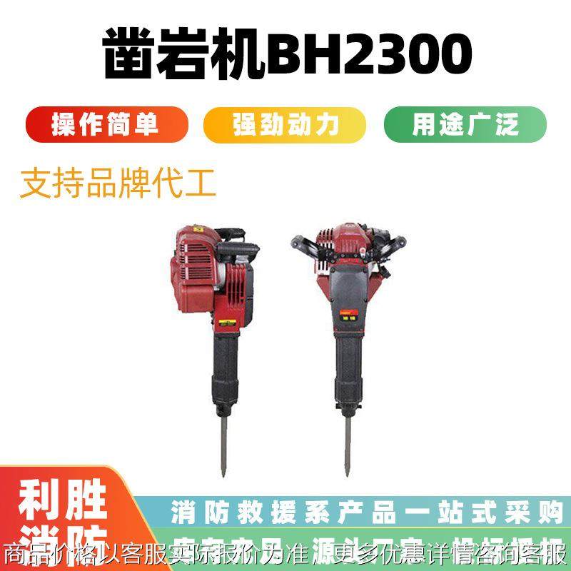 便携式凿岩机2300地震灾害救援设备小型冲击钻破拆用破碎镐,户外/登山/野营/旅行用品,其他防护救生装备,淘宝优惠券,粉丝福利购,淘宝优惠卷
