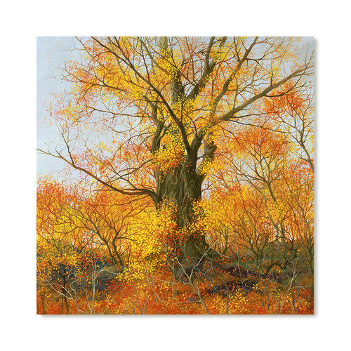 【特惠捡漏】Olga Kvasha复刻艺术版画古典唯美风景挂画装饰画芯