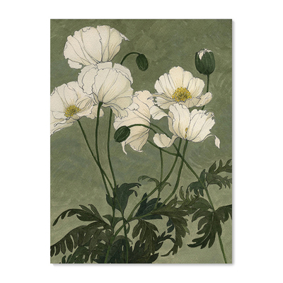 【特惠捡漏】Carleigh Courey复刻艺术插画日式中古花卉装饰画芯