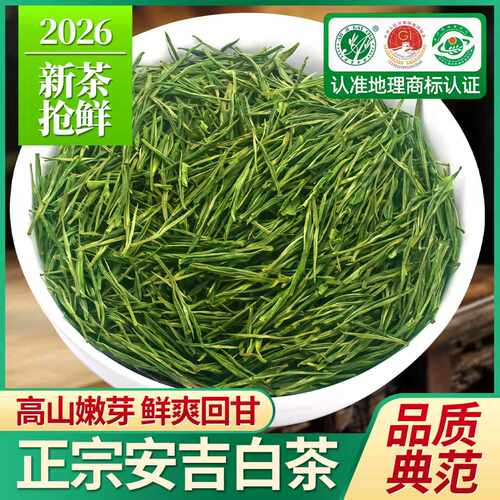 正宗安吉白茶明前2026罐装新茶叶