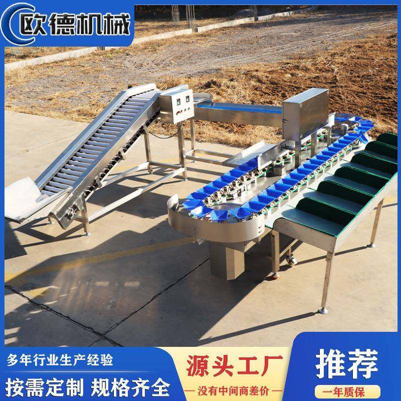 海蛎子重量分选机海产规格分选机料盒重量分选机生蚝牡蛎分选机,五金/工具,其他包装设备,淘宝优惠券,粉丝福利购,淘宝优惠卷