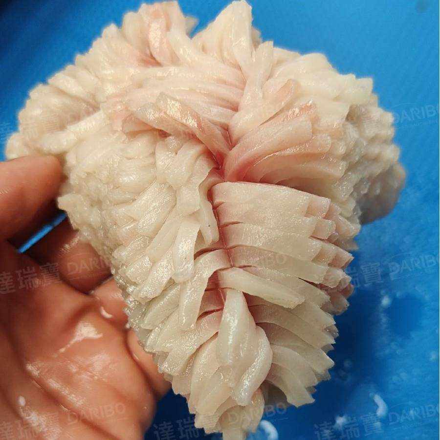 W鸡胗切花机食品级肉类切花机自动不锈钢牛腩切花机浮动压紧设计,清洗/食品/商业设备,肉制品加工设备,淘宝优惠券,粉丝福利购,淘宝优惠卷