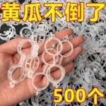 绿植果树植物固定夹卡扣藤蔓固定器秧苗爬藤支撑杆果蔬秧苗吊秧夹